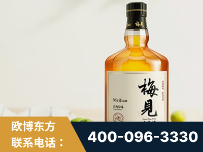宜兴-梅见青梅酒